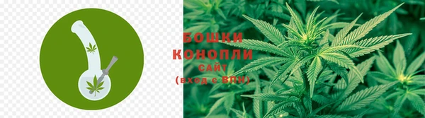 СК Иннополис